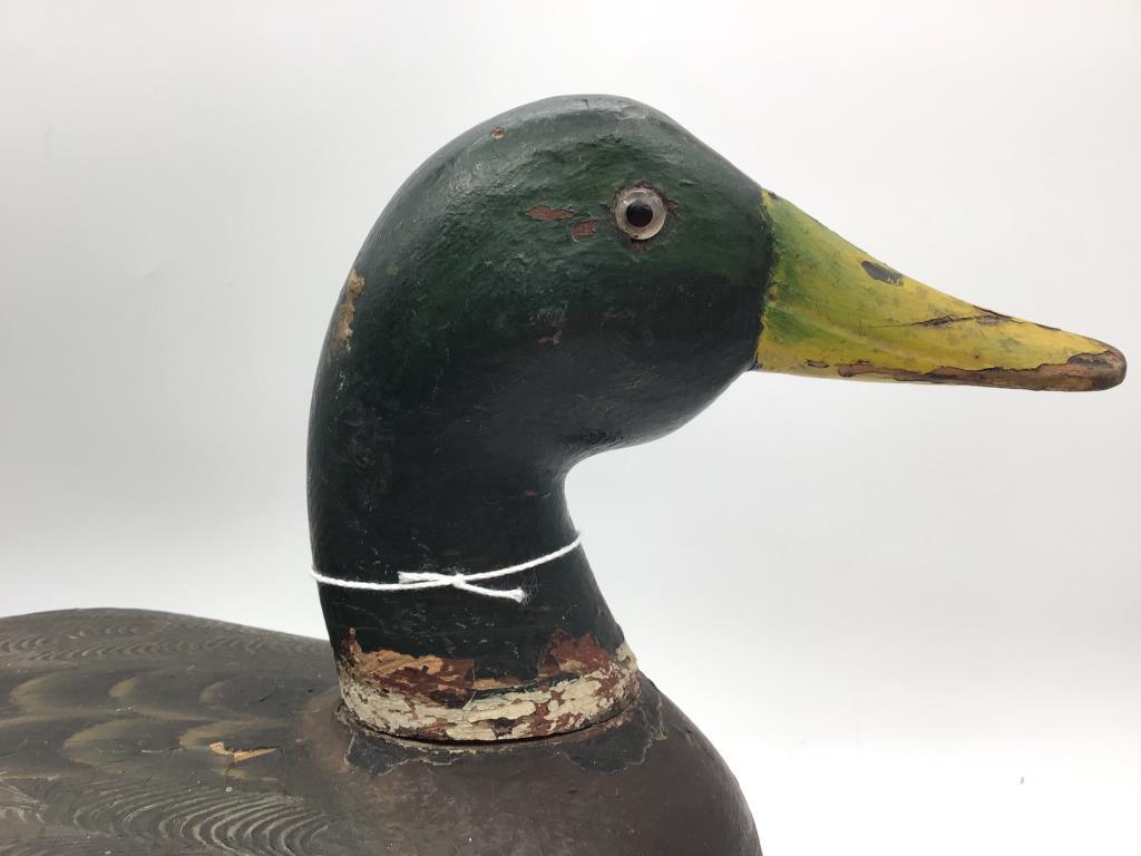 Canvasback Re-painted by Mario Piolotti-