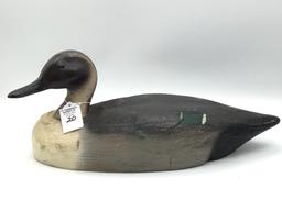 Herters Mallard Hen Pintail