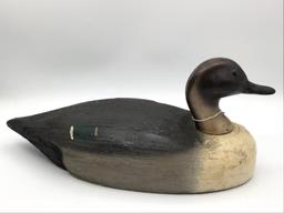 Herters Mallard Hen Pintail