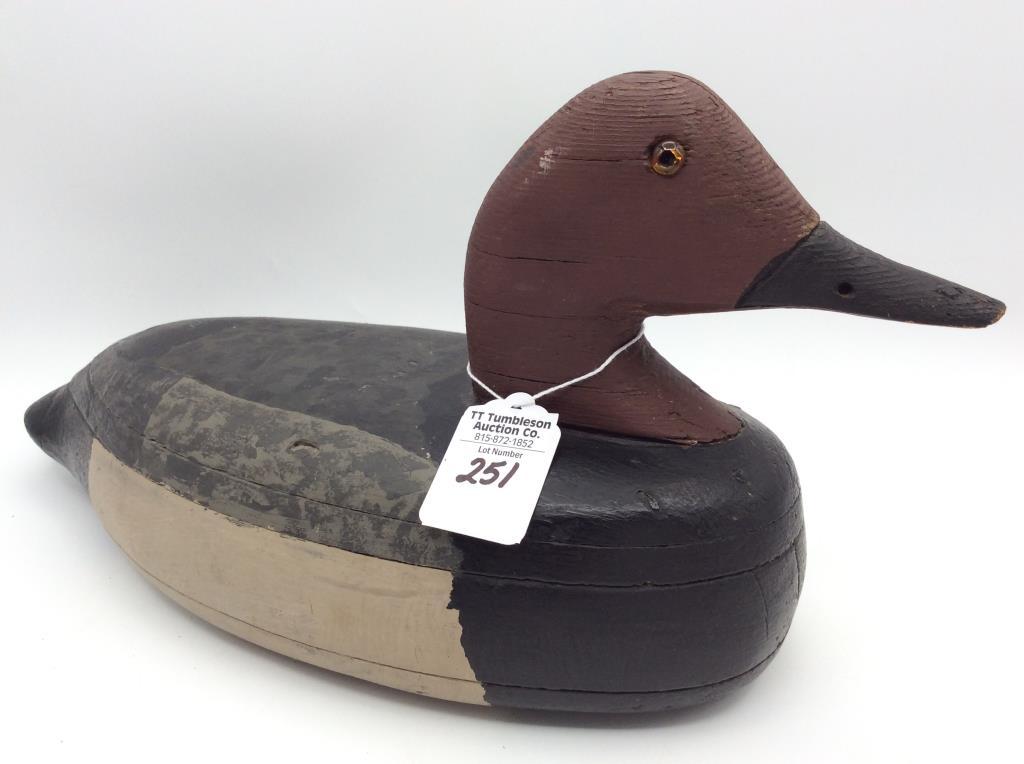 Unknown IL River Canvasback