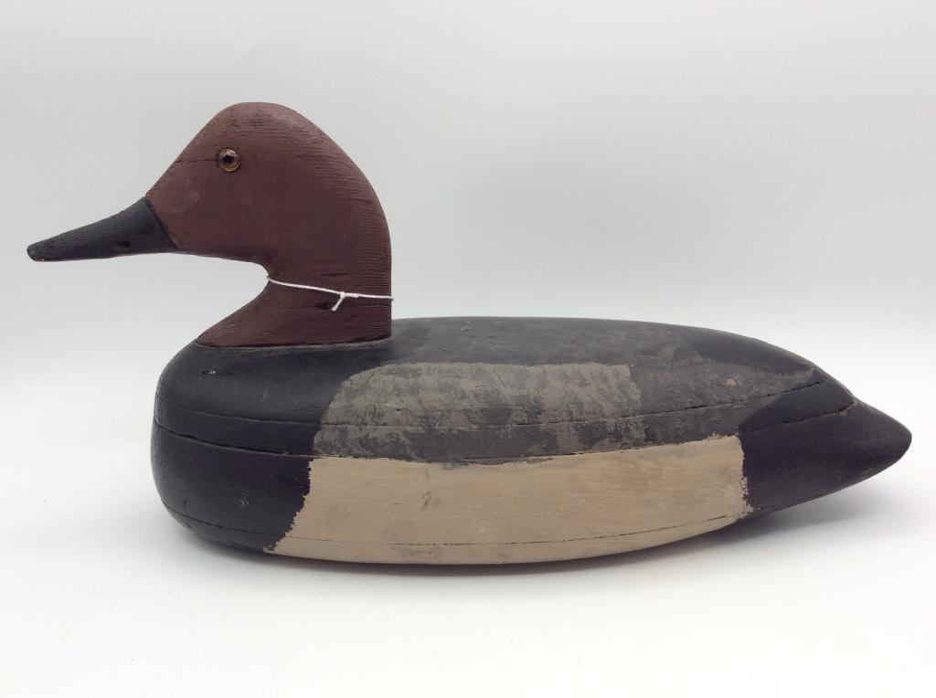 Unknown IL River Canvasback