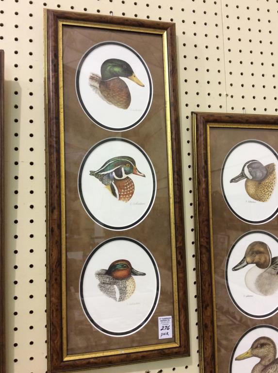 Pair of Framed Duck Head Portraits by E.Culbertson