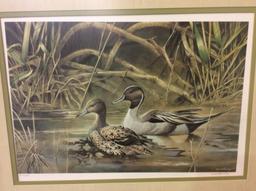 Framed-Signed & Numbered Duck Print by