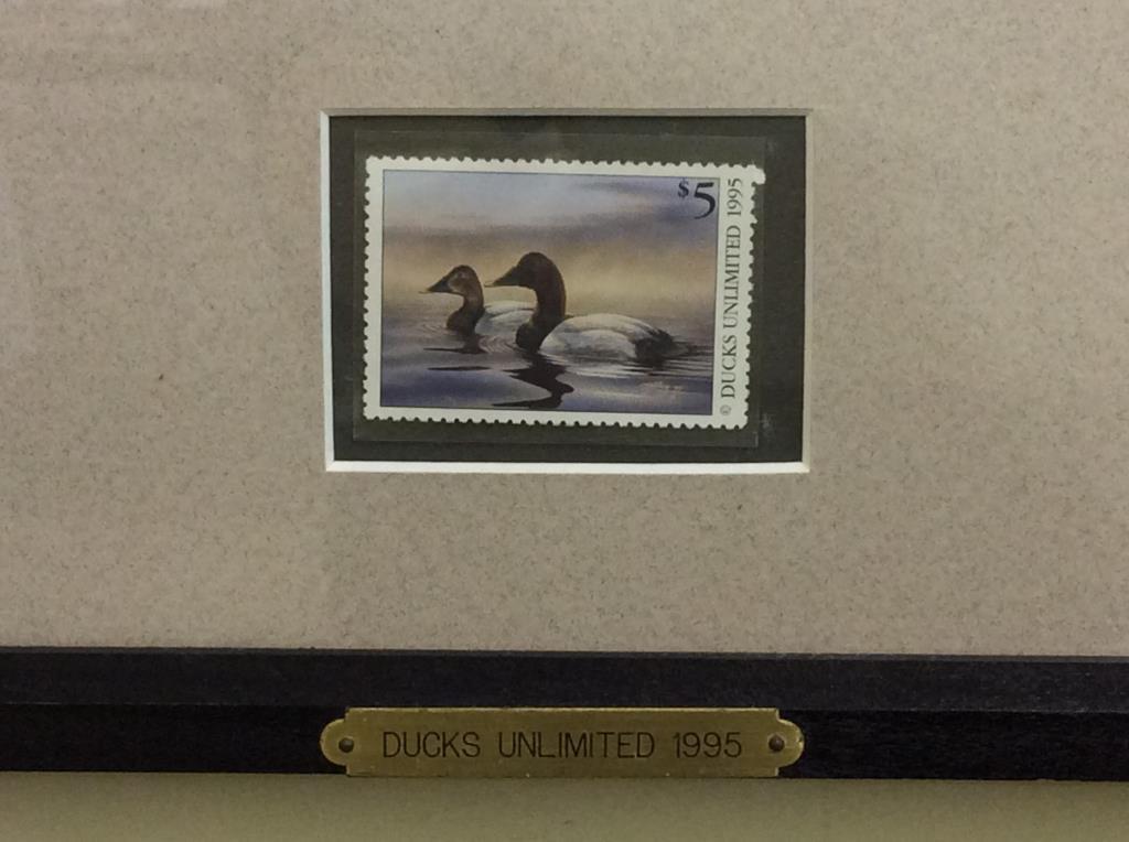 Framed-Signed Ducks Unlimited 1995