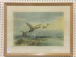 Framed Duck Print "Over the Salt Flats"