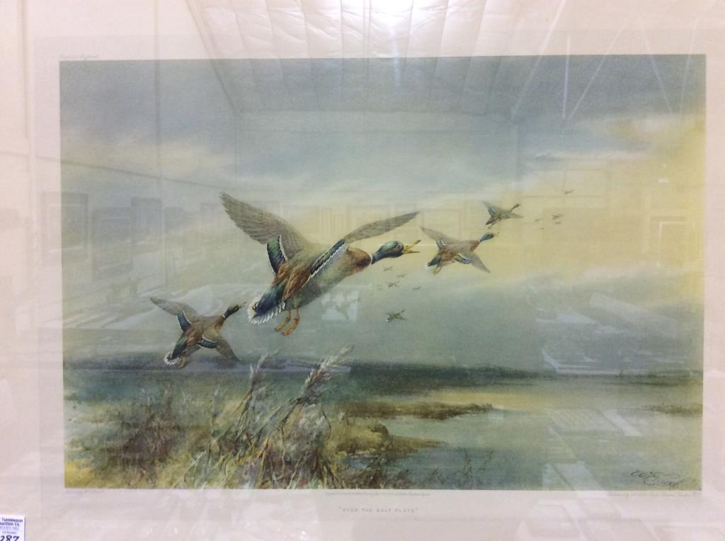 Framed Duck Print "Over the Salt Flats"