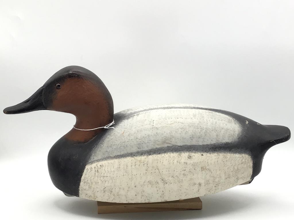 Pair of Canvasbacks