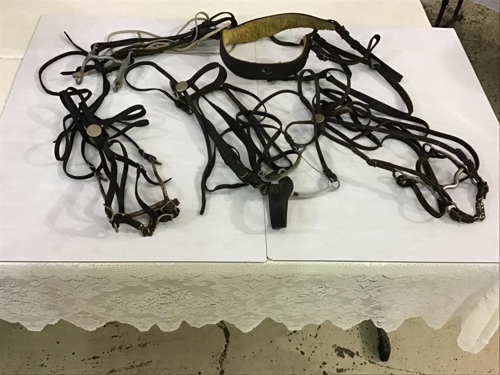 Group of 4 Various Old Horse Bridles