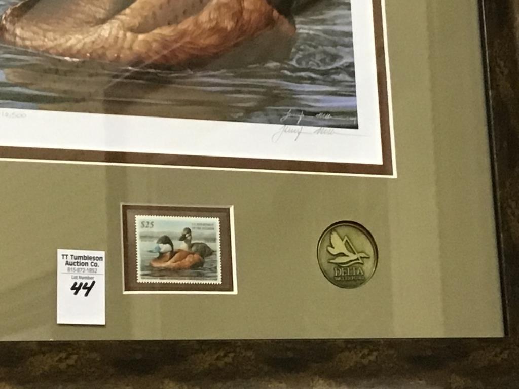 Framed Signed & Numbered Ruddy Duck Print