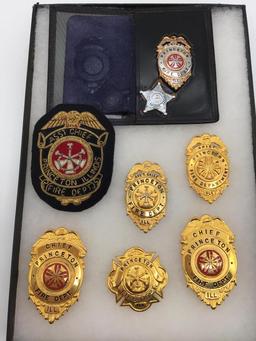 Lot of 6 Princeton, IL Fire Dept. Pin Badges