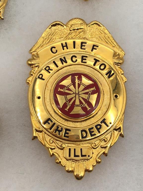 Lot of 6 Princeton, IL Fire Dept. Pin Badges