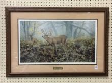 Framed-Signed & Numbered Wildlife Print-
