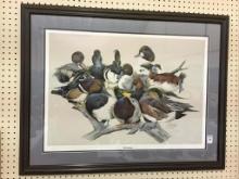 Very Lg. Framed-Signed-Numbered Duck Print