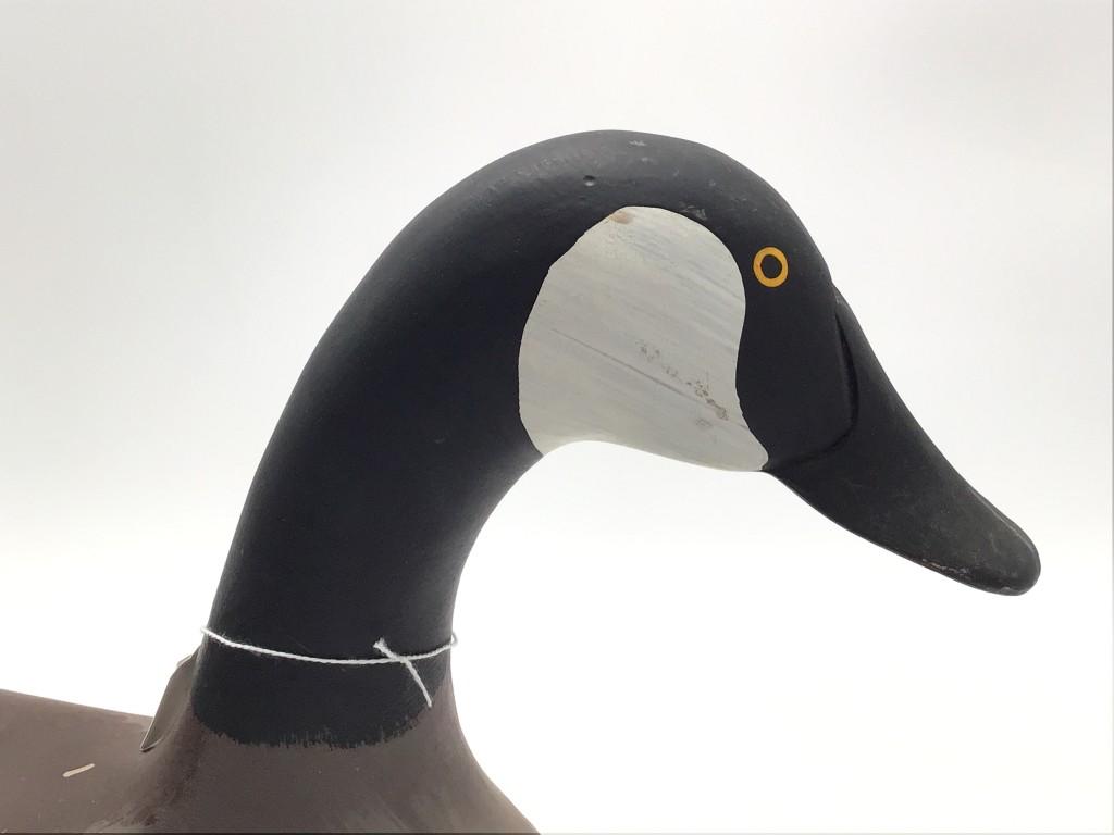Madison Mitchell Goose