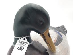 Charlie Moore Preening Mallard (18)