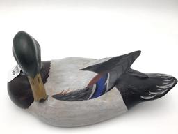 Charlie Moore Preening Mallard (18)