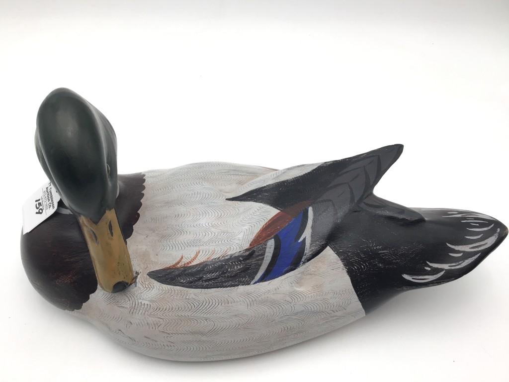 Charlie Moore Preening Mallard (18)