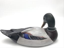 Charlie Moore Preening Mallard (18)