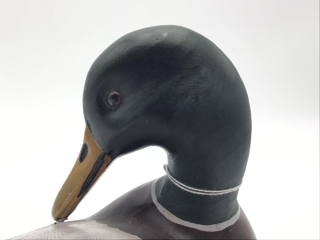 Charlie Moore Preening Mallard (18)