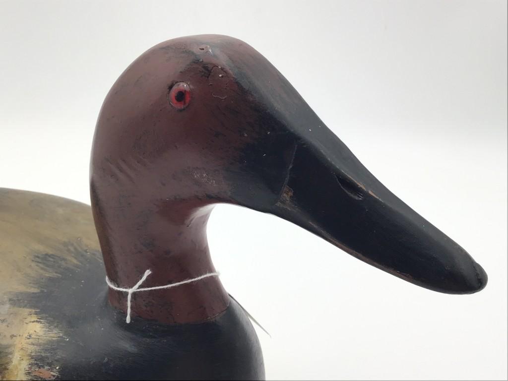 Bert Graves Peoria, IL Canvasback Drake