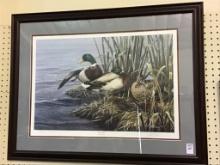 Framed Quiet Rain Print by Paco Young-1994