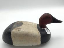 Michigan Canvasback Drake