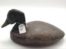 Early Michigan Mallard
