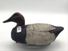 Michigan Canvasback