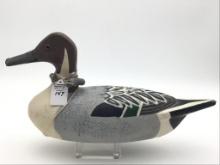 Tom Chiado Spring Valley, IL PIntail Drake