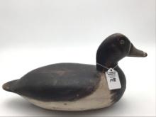 Robert Elliston Bureau, IL Ring Neck Drake