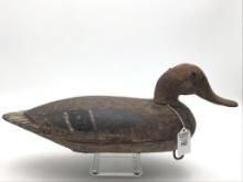 Unknown Illinois River Mallard Hen