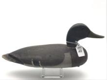 Fred Miller Beardstown, IL Mallard Drake