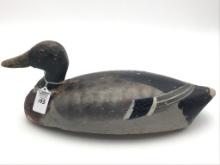 Unknown Illinois River Mallard Drake