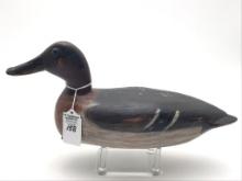 Robert Elliston Style Green Wing Teal (17)