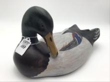 Charlie Moore Preening Mallard (18)