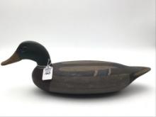 William Lohrmann Peoria, IL Mallard Drake