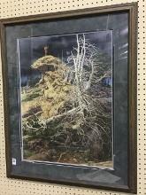 Framed, Signed & Numbered Bev Doolittle Print-