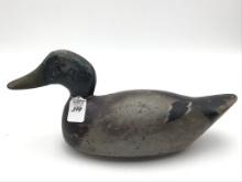 Evans Decoy