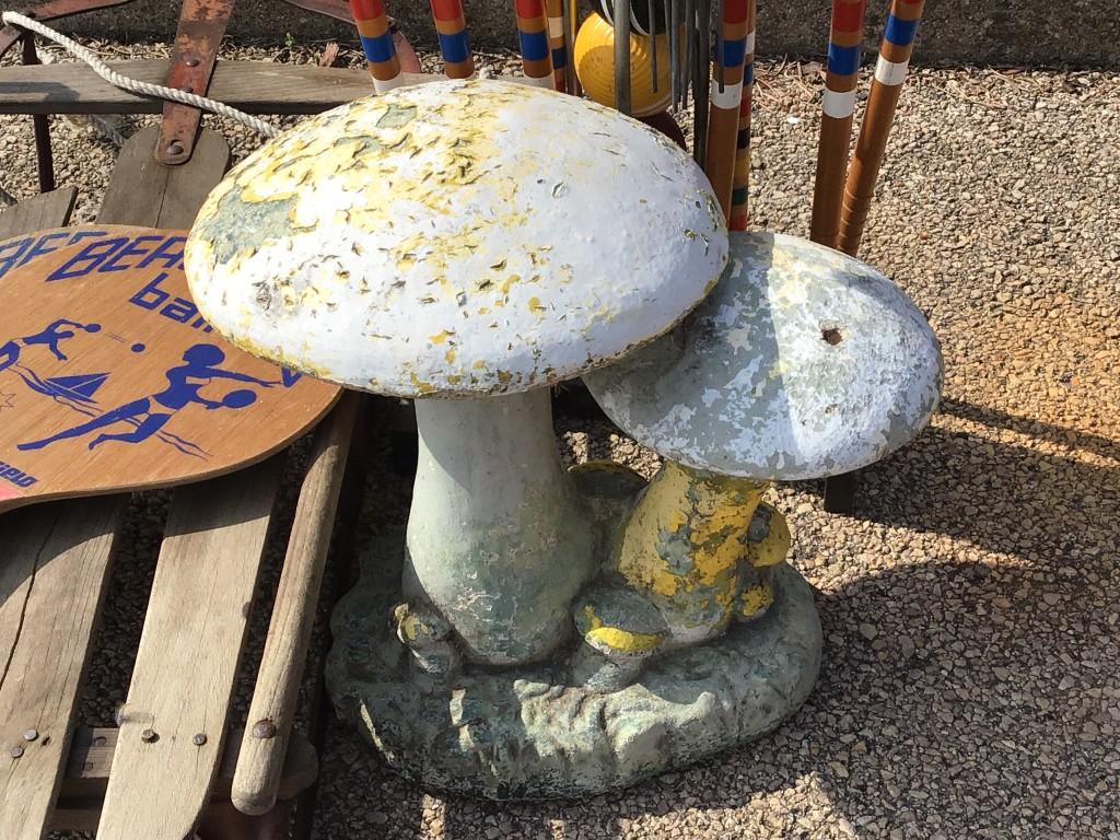 Group Including Decorative Concrete Mushroom
