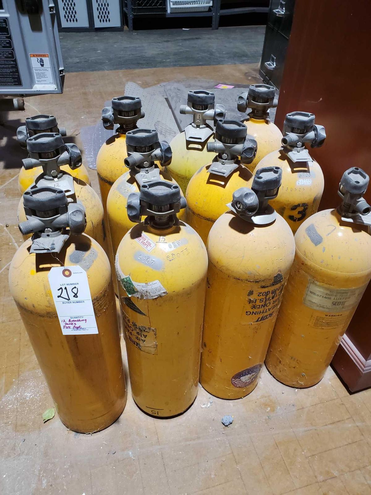 12 air pak tanks