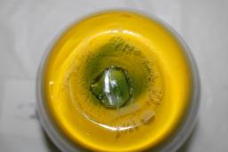 BLENKO ART GLASS VASE, SIGNED (UNKNOWN), 2013, #29/190, 10.25"