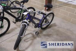 58-4: SCHWINN SIDEWINDER BICYCLE, 26" X 1.95 WHEELS, 21 SPEED AND NINEBOT E