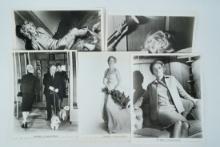 Lot of (5) Original 1963 Press Photos, The Birds
