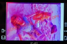 Beach Boys Dennis Wilson W/Wife Photo Negative