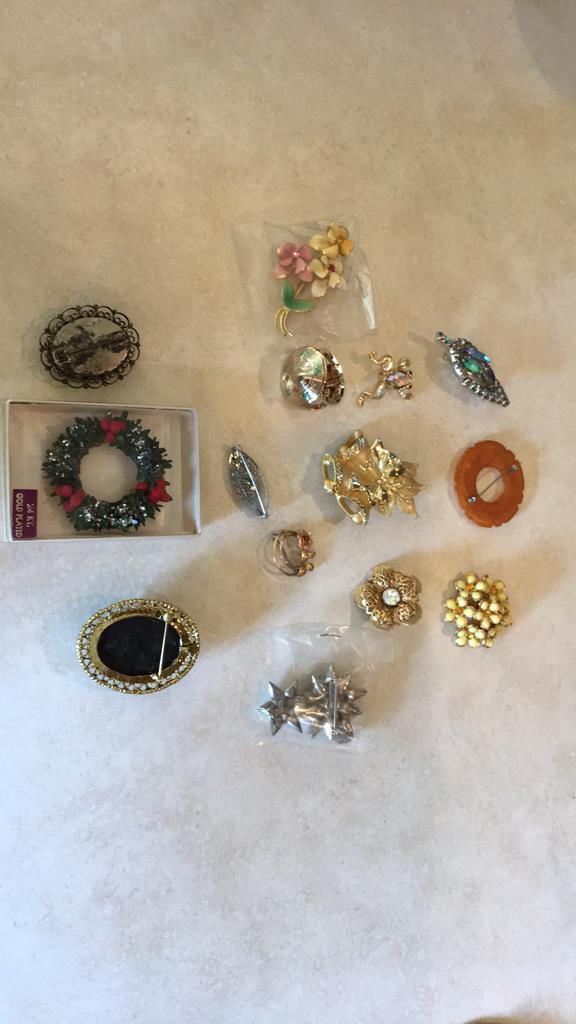 Vintage and new costume jewelry pins