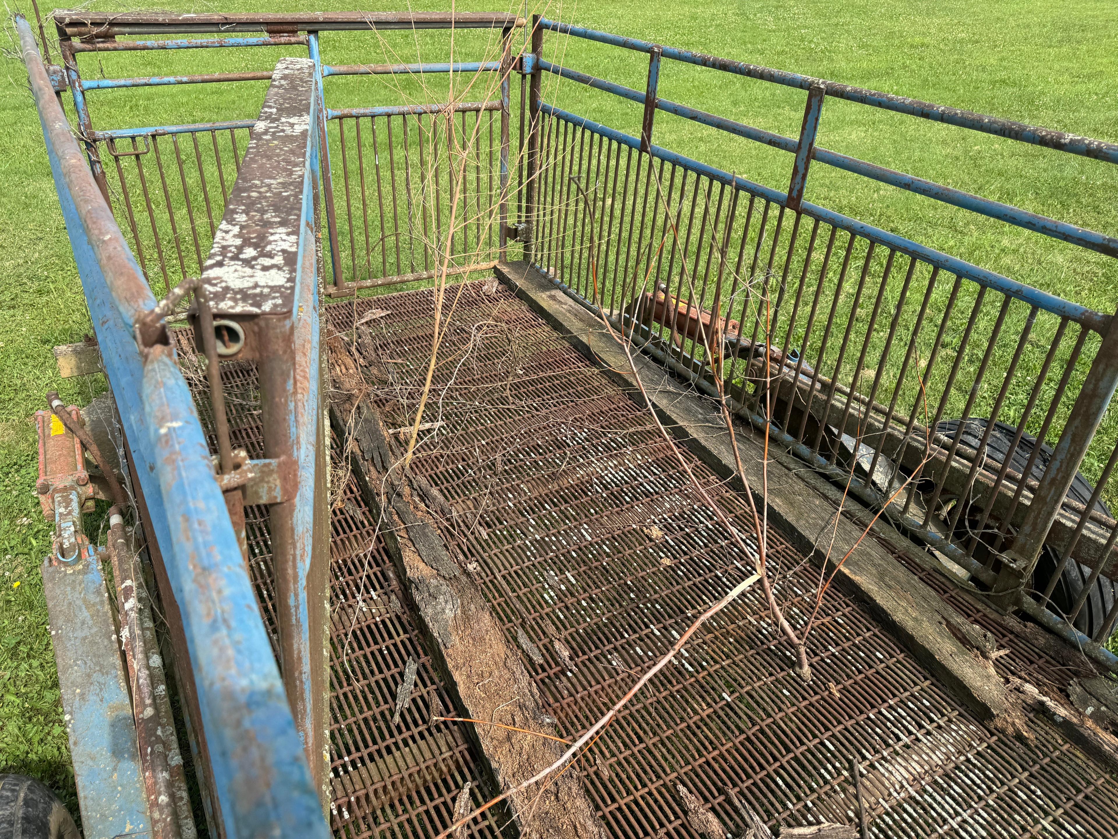 HOG TRAILER