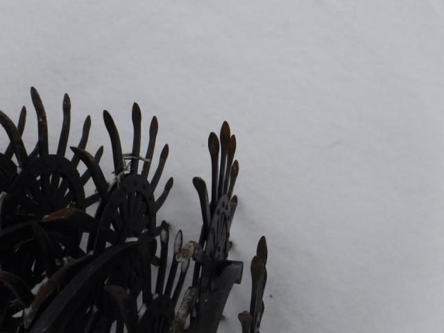 Yetter 3530 Rotary Hoe