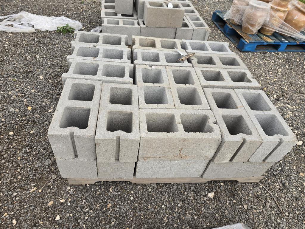 (30) Cinder Blocks on Pallet