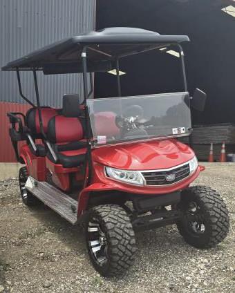 Double Take 6-Seater Golf Cart 48V
