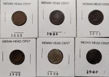 (6) Indian Head Cents
